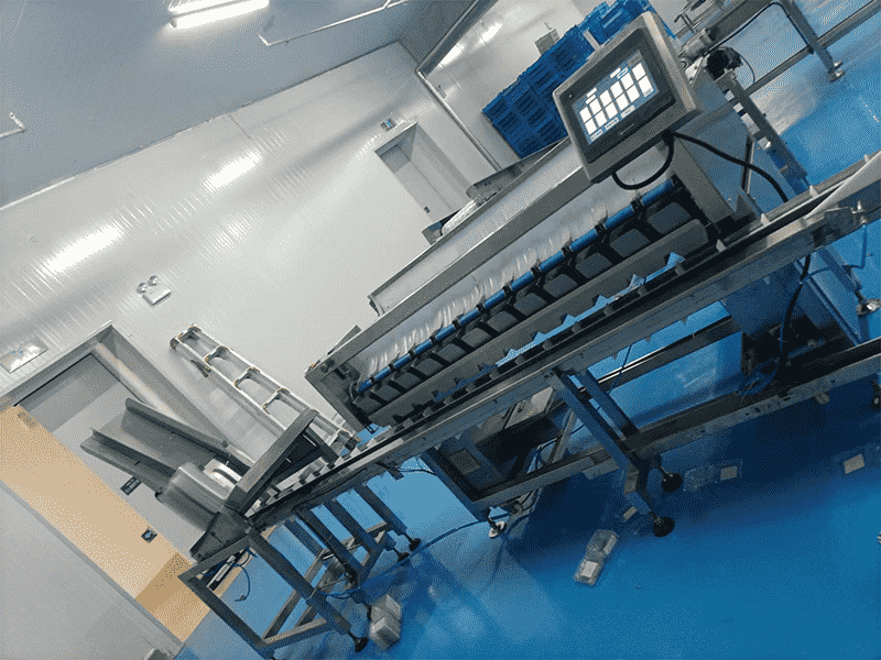 images/1745569925385blueberry packing machine.png